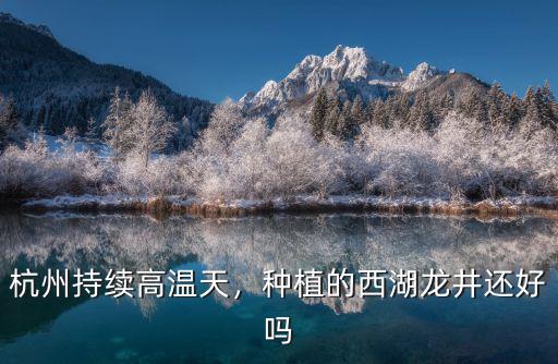 今年杭州高溫多少天,杭州今年比往年更熱嗎