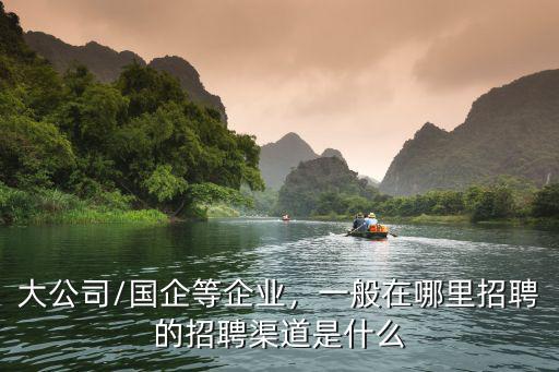大公司/國企等企業，一般在哪里招聘的招聘渠道是什么