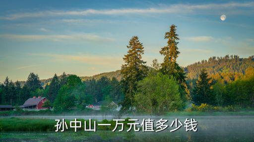 一萬元紙幣有孫中山頭像價格多少,孫中山100元紙幣值多少錢