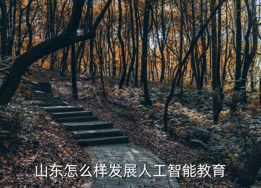 臨沂智能教育有多少,臨沂有幾所大學