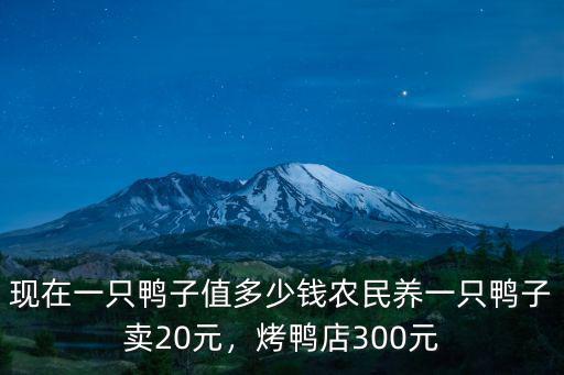 現(xiàn)在一只鴨子值多少錢農(nóng)民養(yǎng)一只鴨子賣20元，烤鴨店300元