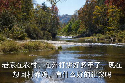 山東現在有多少養雞戶,現在想回村養雞
