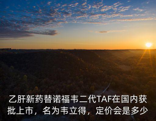 深圳醫院替諾福韋價格多少,二代替諾福韋的價格是多少