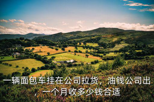 一輛面包車(chē)掛在公司拉貨，油錢(qián)公司出，一個(gè)月收多少錢(qián)合適