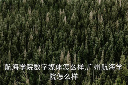廣州航海學院數字媒體怎么樣,廣州航海學院怎么樣