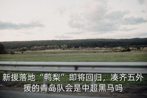 中超青島隊多少分了,中超青島隊已經(jīng)8連敗