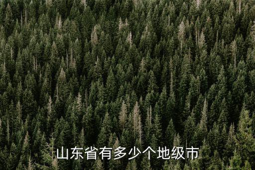 山東有多少城市名字,山東省有多少個(gè)地級市