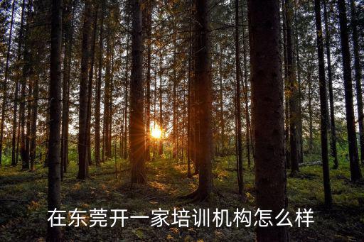 在東莞開一家培訓(xùn)機(jī)構(gòu)怎么樣