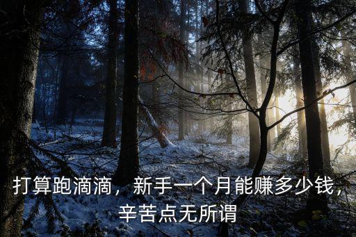 寧波開滴滴新手能賺多少錢,新手一個月能賺多少錢