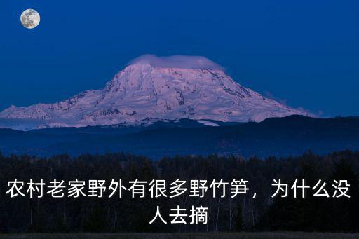 韶關(guān)哪里有竹筍摘,農(nóng)村老家野外有很多野竹筍