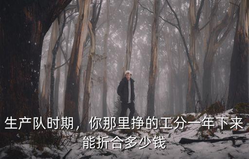 生產(chǎn)隊時期，你那里掙的工分一年下來能折合多少錢