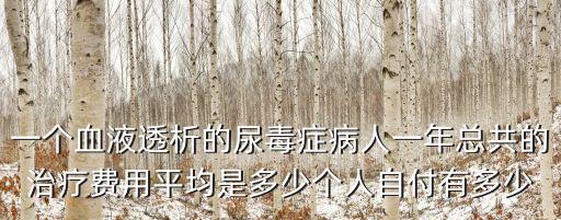 一個血液透析的尿毒癥病人一年總共的治療費用平均是多少個人自付有多少
