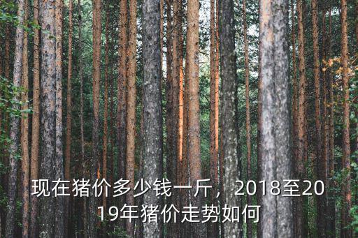 浙江的豬肉多少錢一斤2019年,現在豬價多少錢一斤