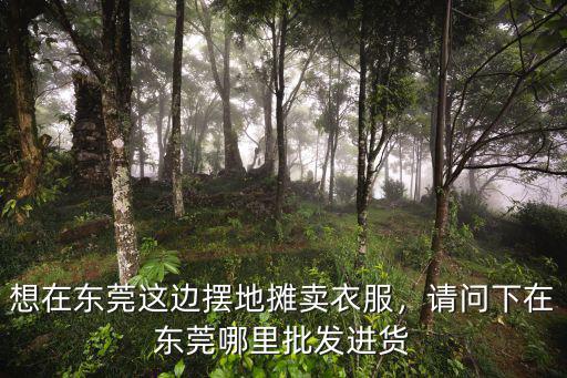 廣東省東莞市百貨批發市場在哪里,想在東莞這邊擺地攤賣衣服