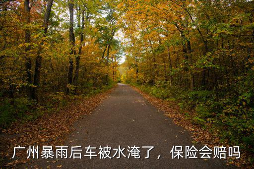 廣州暴雨后車被水淹了，保險會賠嗎