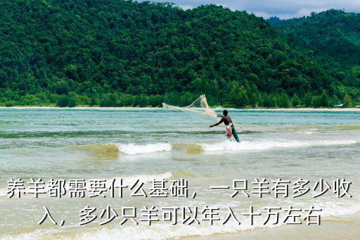山東牧民一只羊多少錢(qián),一個(gè)羊崽子多少錢(qián)