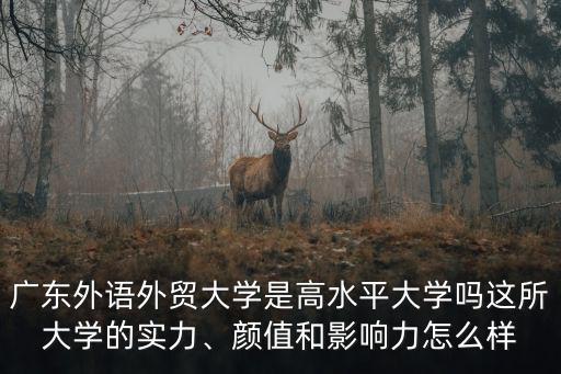 廣東外語外貿(mào)大學(xué)-財經(jīng)學(xué)院怎么樣,廣東外語外貿(mào)大學(xué)怎么樣