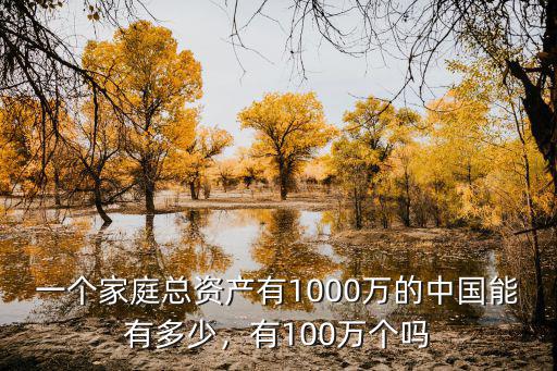 一個家庭總資產有1000萬的中國能有多少，有100萬個嗎