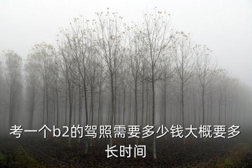 考一個b2的駕照需要多少錢大概要多長時間
