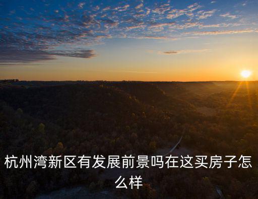 杭州灣新區有發展前景嗎在這買房子怎么樣