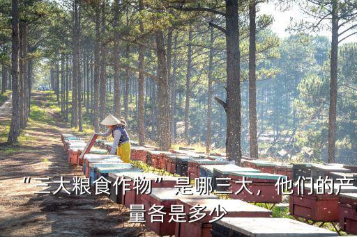 “三大糧食作物”是哪三大，他們的產(chǎn)量各是多少