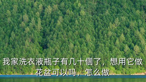 湛江哪里有做洗衣液瓶子,我家洗衣液瓶子有幾十個了