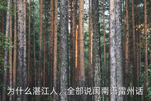 湛江客家話是哪里人的,湛江涯話屬于客家話嗎