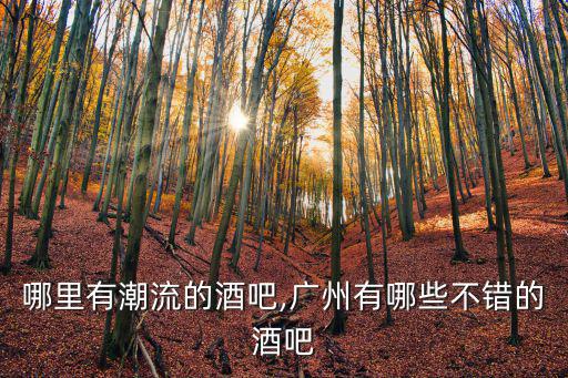 廣州哪里有潮流的酒吧,廣州有哪些不錯(cuò)的酒吧