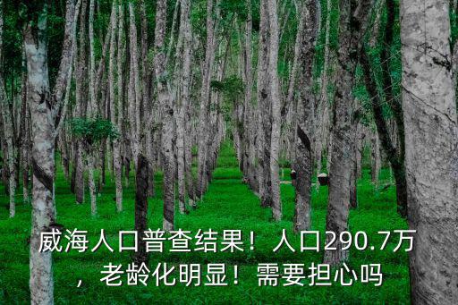 威海西山口人口多少,人口290.7萬