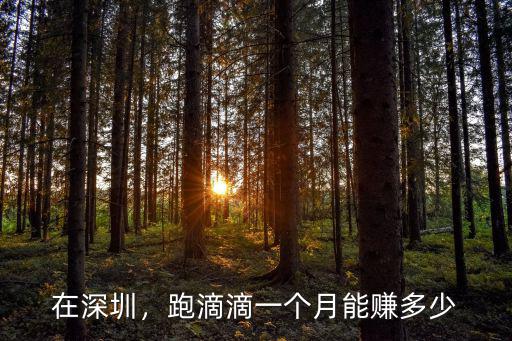在深圳，跑滴滴一個月能賺多少