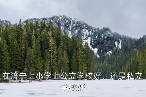 在濟寧上小學上公立學校好，還是私立學校好