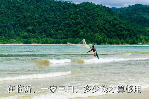 在臨沂，一家三口，多少錢才算夠用