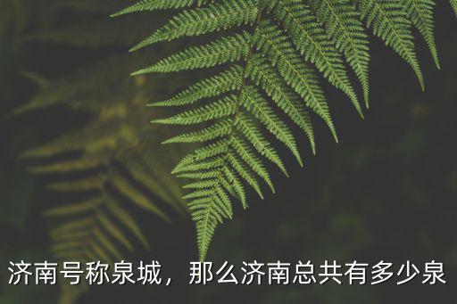 濟(jì)南號(hào)稱泉城，那么濟(jì)南總共有多少泉