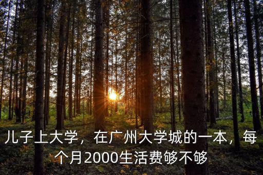 兒子上大學，在廣州大學城的一本，每個月2000生活費夠不夠