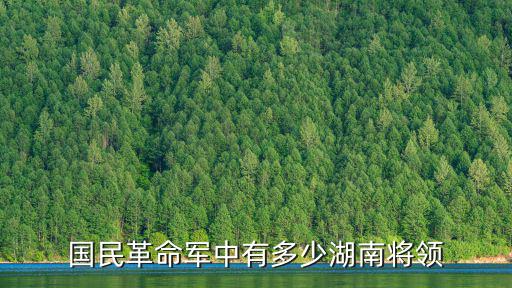 浙江有多少國民黨名將,國民革命軍中有多少湖南將領