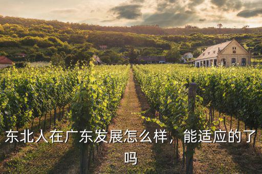 東北移民廣東有多少人,作為東北長春人
