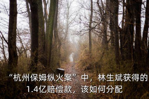 “杭州保姆縱火案”中，林生斌獲得的1.4億賠償款，該如何分配