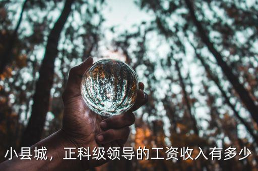 煙臺正科級工資大概多少,正科級領導的工資收入有多少