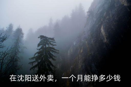 寧波外賣員一個月有多少錢一個月多少錢,月收入大概有多少