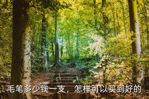 毛筆多少錢一支，怎樣可以買到好的