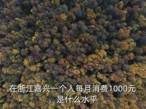 浙江嘉興沃茲玩具廠一個月多少錢,在玩具廠工作