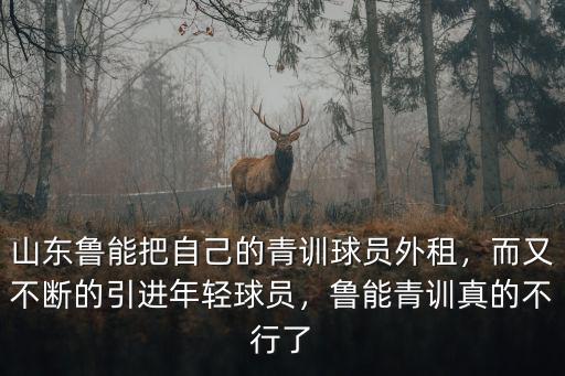 山東魯能把自己的青訓球員外租，而又不斷的引進年輕球員，魯能青訓真的不行了