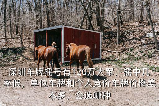 深圳車牌搖號有120萬大軍，搖中幾率低，單位車牌和個人競價車牌價格差不多，會選哪種