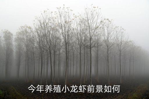 今年養(yǎng)殖小龍蝦前景如何