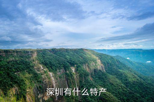深圳松崗哪里有脆皮五花肉,深圳有什么特產