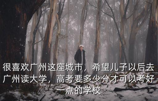 廣州廣州大學需要多少分,希望兒子以后去廣州讀大學