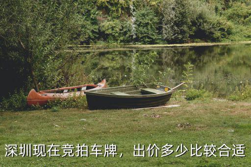深圳拍買車牌多少錢一個,深圳車牌過戶值多少錢