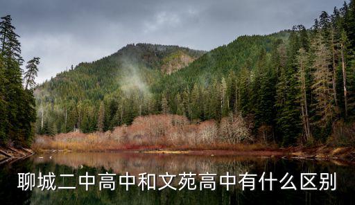 聊城二中高中和文苑高中有什么區別