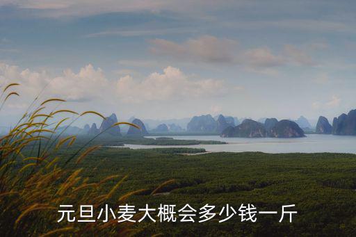 山東巨野縣小麥多少錢一斤,山東菏澤小麥多少錢一斤
