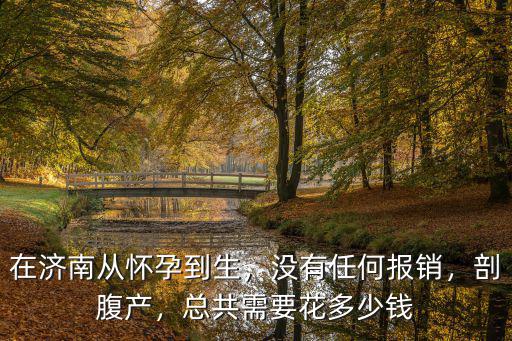 濟南不孕治療要花多少錢,總共需要花多少錢